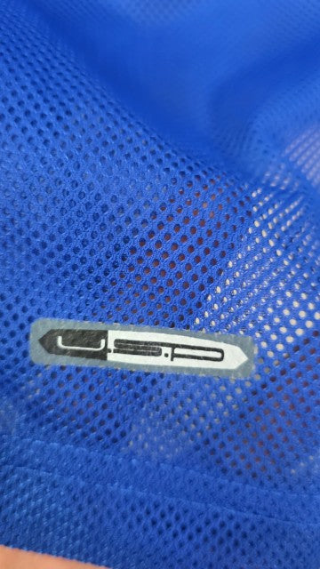 Selección de Italia 2008