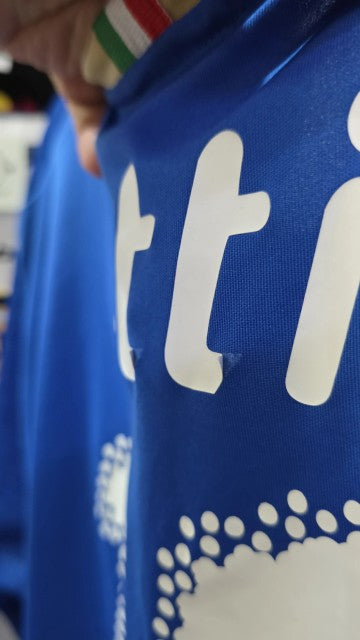 Selección de Italia 2008