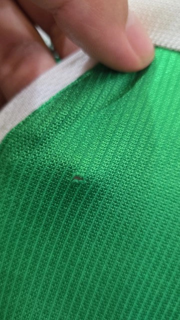 Selección de Irlanda