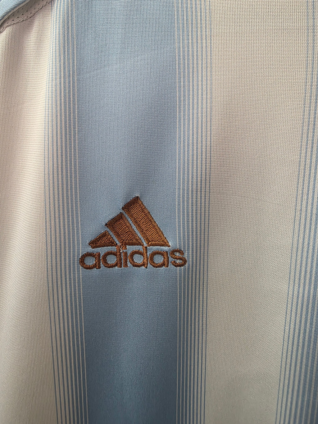 Selección Argentina 2002