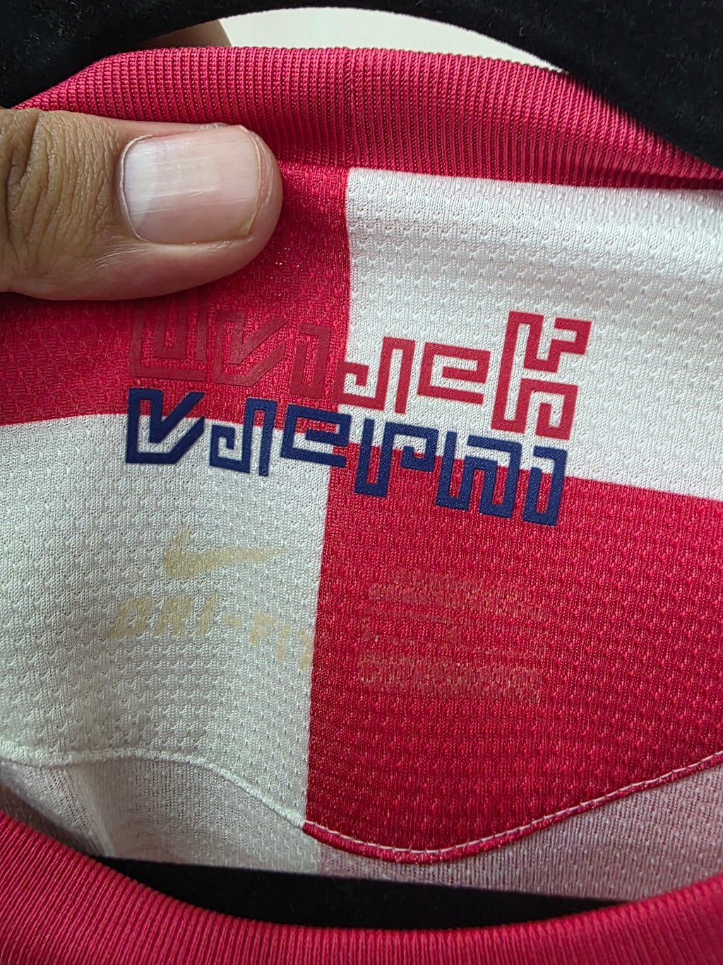 Selección de Croacia 2010