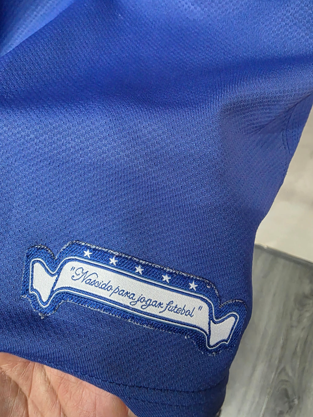 Selección de Brasil 2006