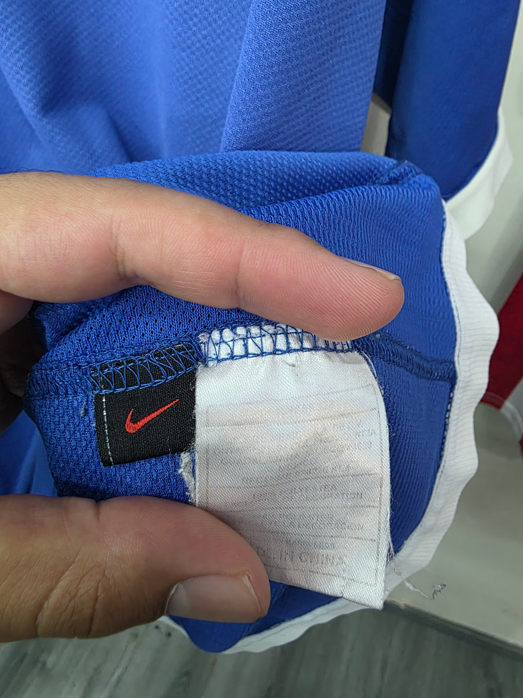 Selección de Brasil 2006