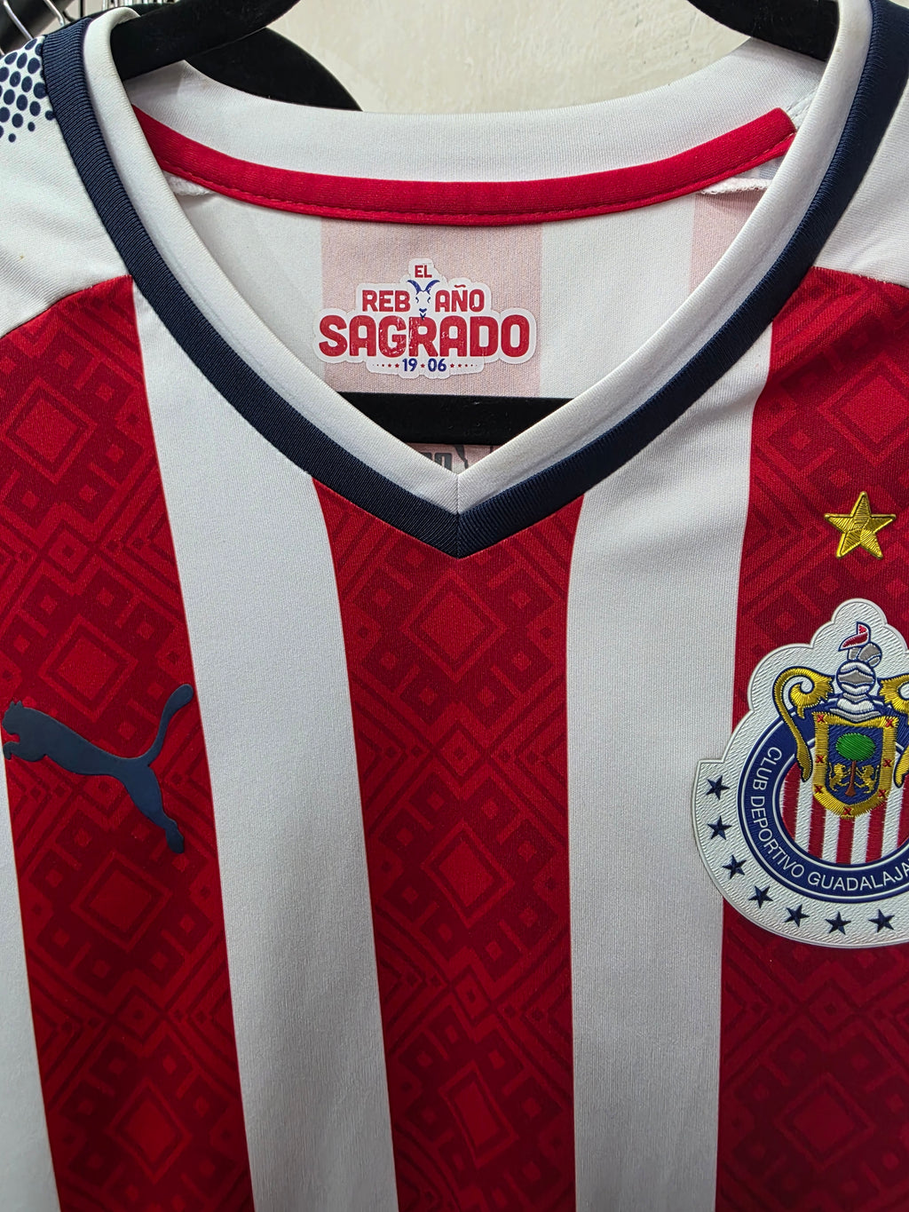 Chivas 2017