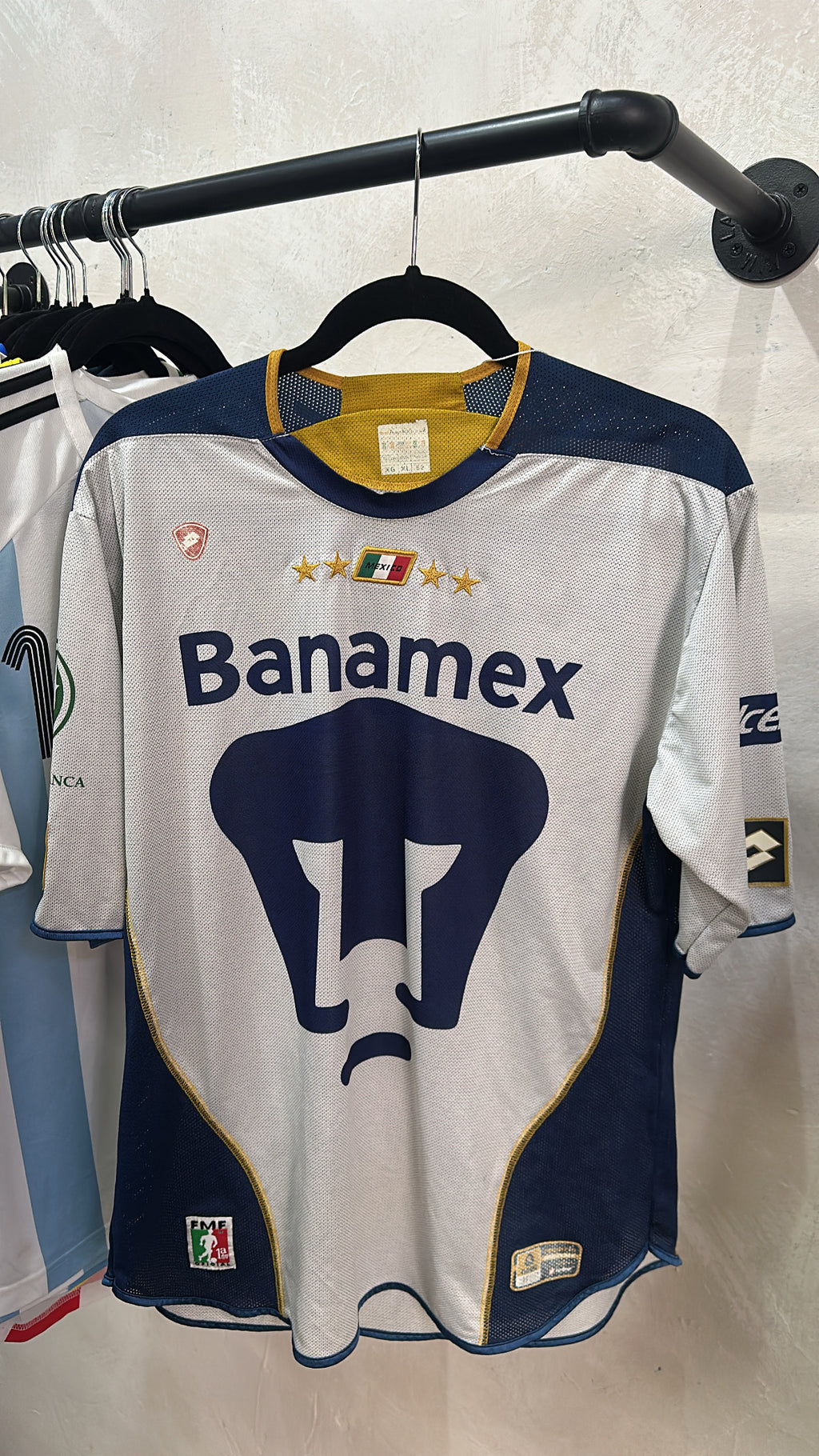 Pumas 2004