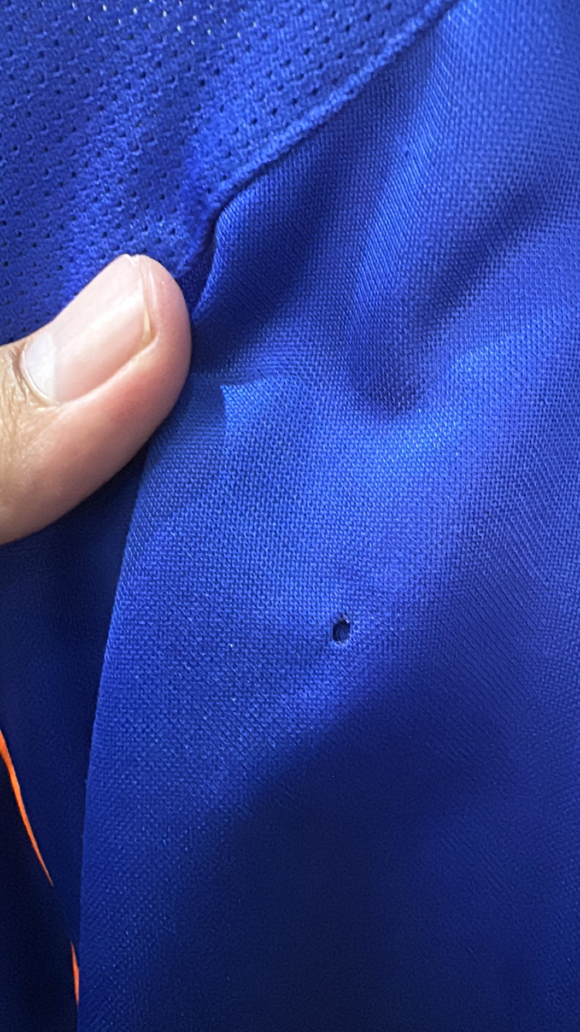 Selección de Holanda 1998