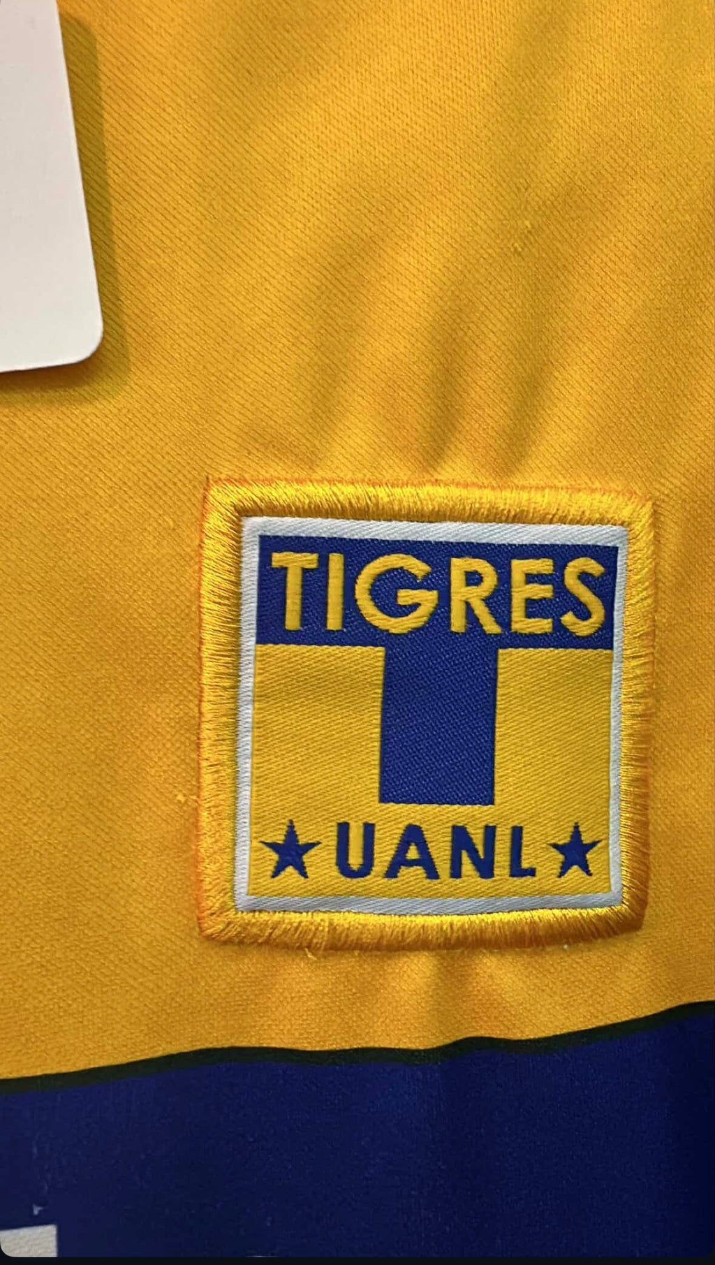 Tigres 2003