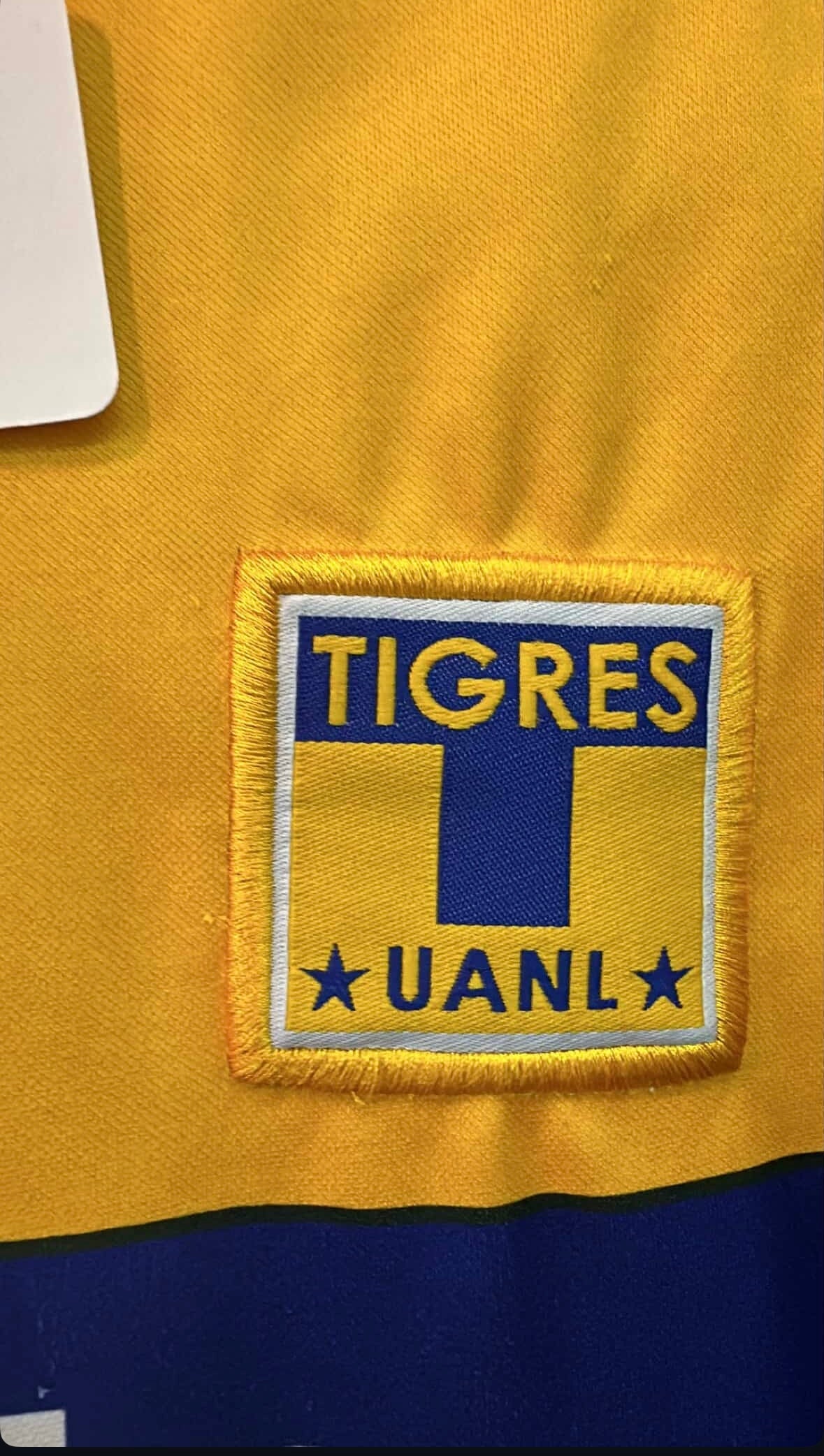 Tigres 2003